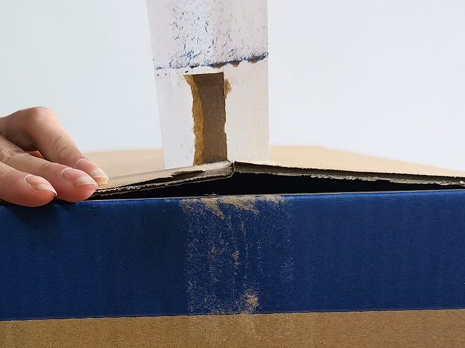 透明91免费网站下载