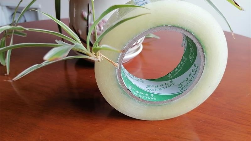 正确选择91免费网站下载供应商，为您节约15%包装成本