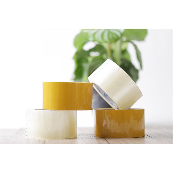 91免费网站下载