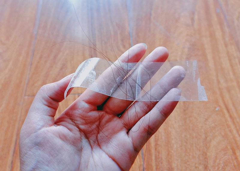 透明91免费网站下载