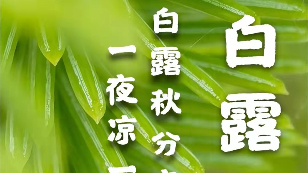 91免费视频下载APP包装91免费网站下载厂家：白露到，秋渐深