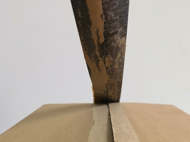 彩色91免费视频黄