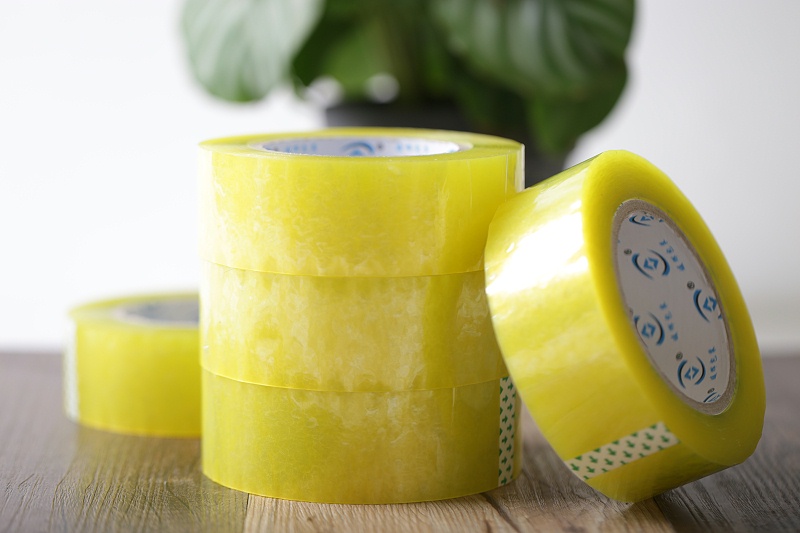 91免费网站下载