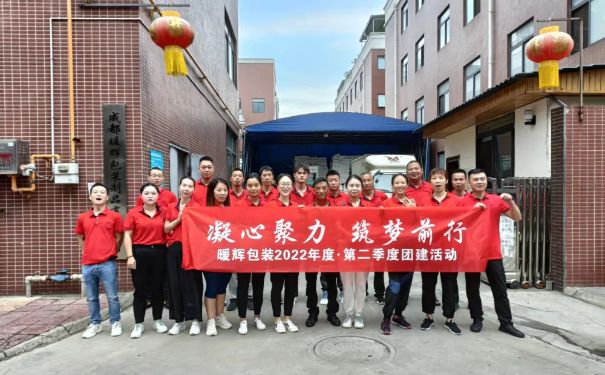 成都91免费网站下载厂家