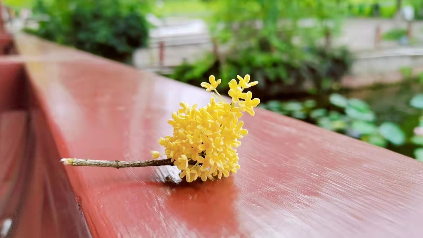 国庆快到了，趁空闲用透明91免费网站下载做些手工！