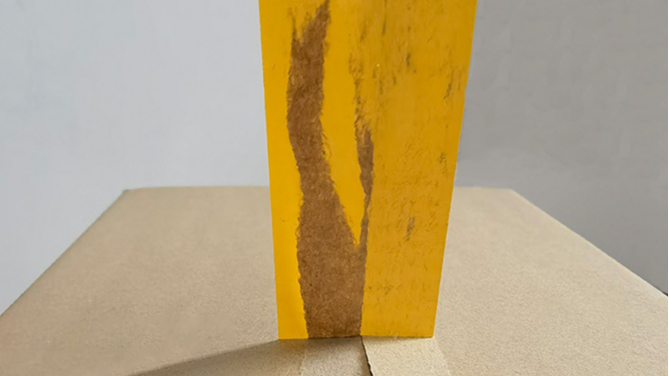 91免费视频下载APP包装91免费网站下载厂：肯德基闹鸡“荒”，无鸡可炸！