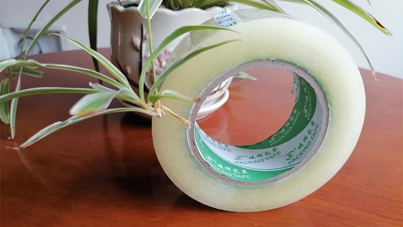 91免费网站下载的几大用处您都知道吗？