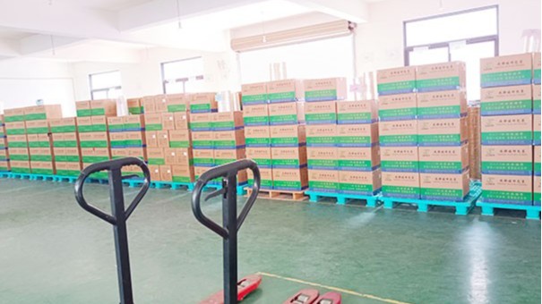 疫情下的91免费网站下载企业该何去何从？