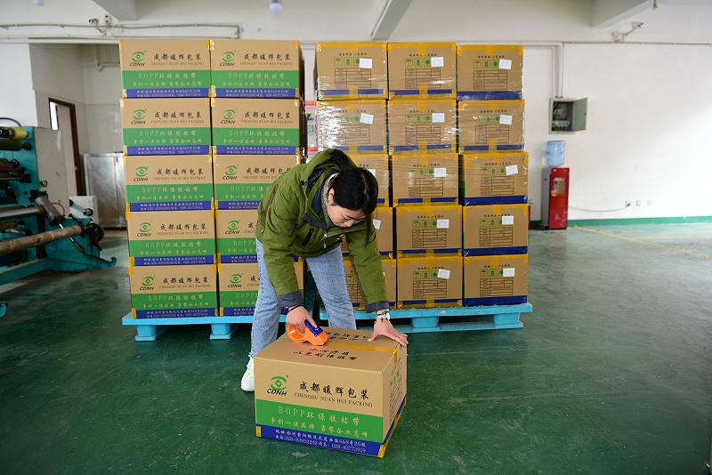 成都91免费网站下载厂家