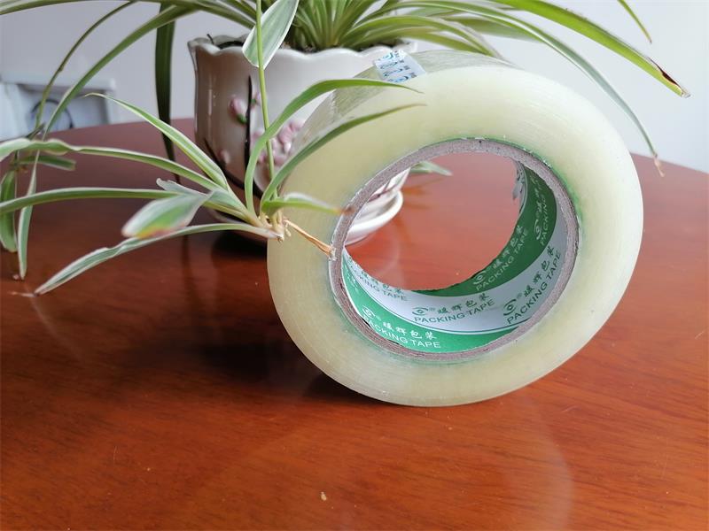 透明91免费网站下载