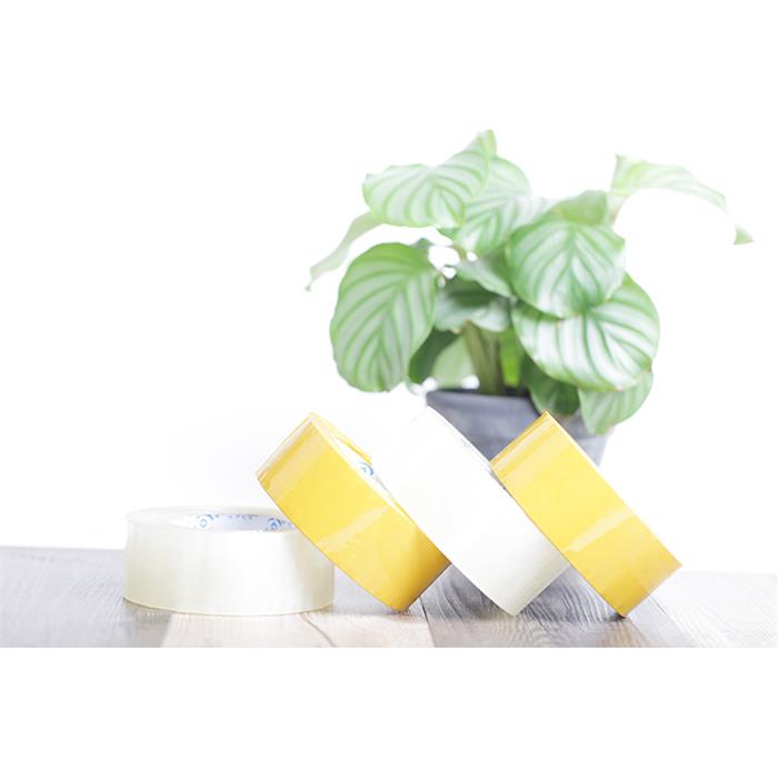 91免费网站下载