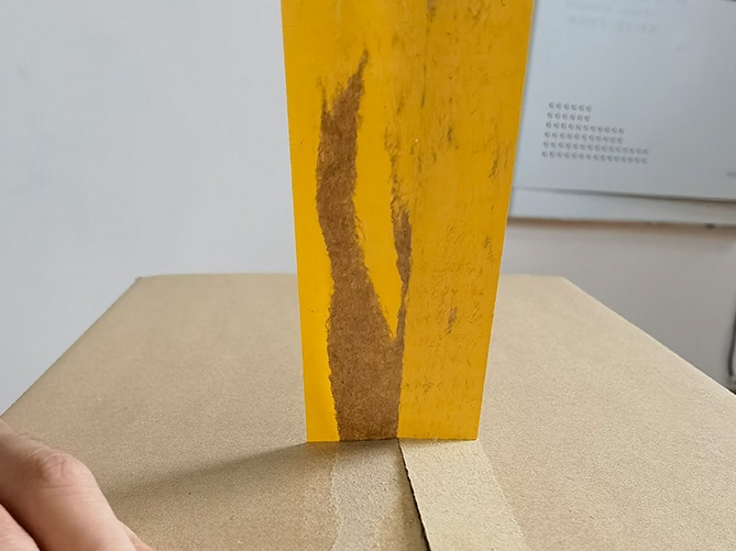 封箱透明91免费视频黄